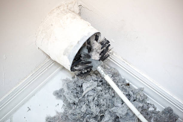 Best Air Duct Cleaning Near Me  in Bloomingdale, FL